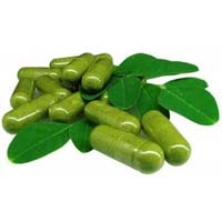 Moringa Capsules