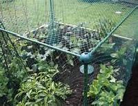 bird protection netting