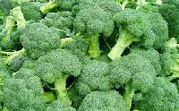 Fresh Broccoli