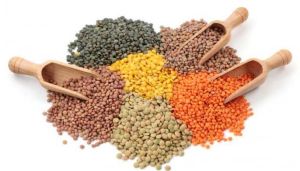 Indian Pulses