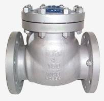 Spring Check Valve