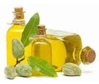 Fennel Oil