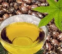 Castor Seed Oil