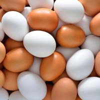 Poultry Eggs