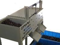 Cashew Processing Machine