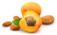 Apricot Kernel