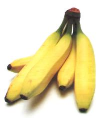 Banana Ripening Chamber