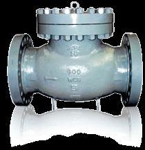 Piston Check Valve