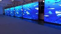 indoor led display