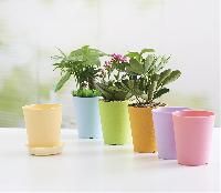 mini flower pot