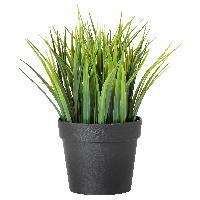 plant pot