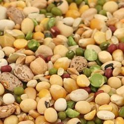 Organic Pulses