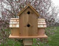 bird houses