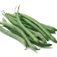 Fresh Green Beans