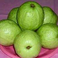 Fresh Guava