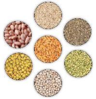 agri seeds