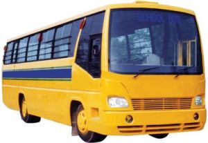 cng bus