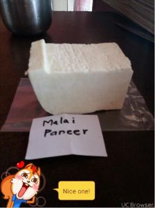 Paneer