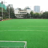 Artificial Hockey Ground Grass