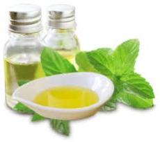 Menthol Oil