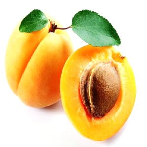 Apricot Oil