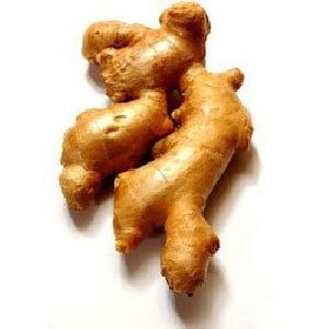 Ginger Oil