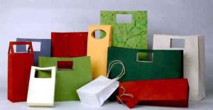 Designer paper bag