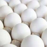 White Egg