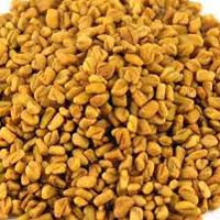 Fenugreek Seeds