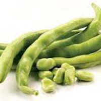 Fresh Broad Beans