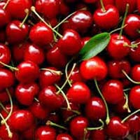 Fresh Cherry