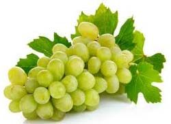 Fresh Grapes