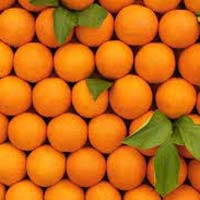 Fresh Orange