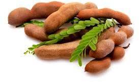 Fresh Tamarind