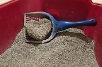 Clumping Cat Litter