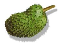 Soursop