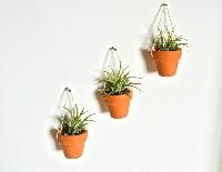 wall hanging pots