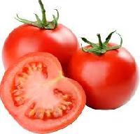 Fresh Tomato