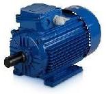 Industrial Electric Motors