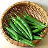 Fresh Green Chilli