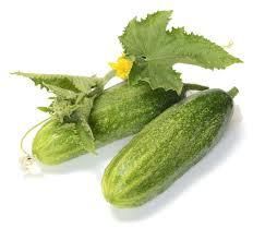 Cucumber Dry Extract