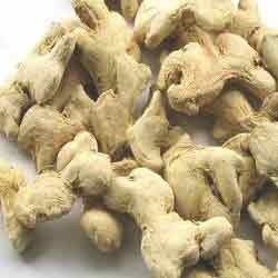 ginger dry extract