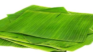 Banana Leaves