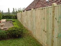 Garden Fencing