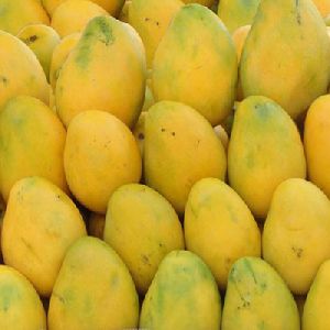 Banganapalli Mango