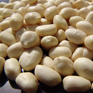 Blanched Peanut