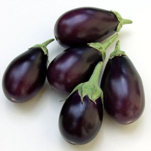 Brinjal