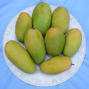 Dashehari Mango
