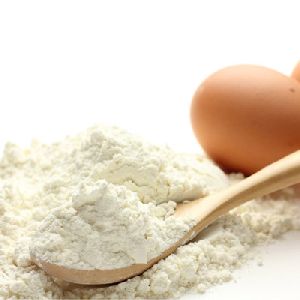 egg albumin powder