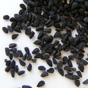 Onion Seeds